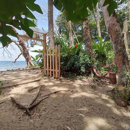 Puerto Viejo de Talamanca Oasis 호스텔 외부 사진