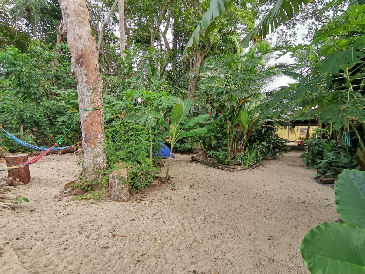 Puerto Viejo de Talamanca Oasis 호스텔 외부 사진