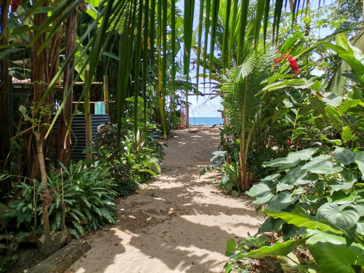 Puerto Viejo de Talamanca Oasis 호스텔 외부 사진