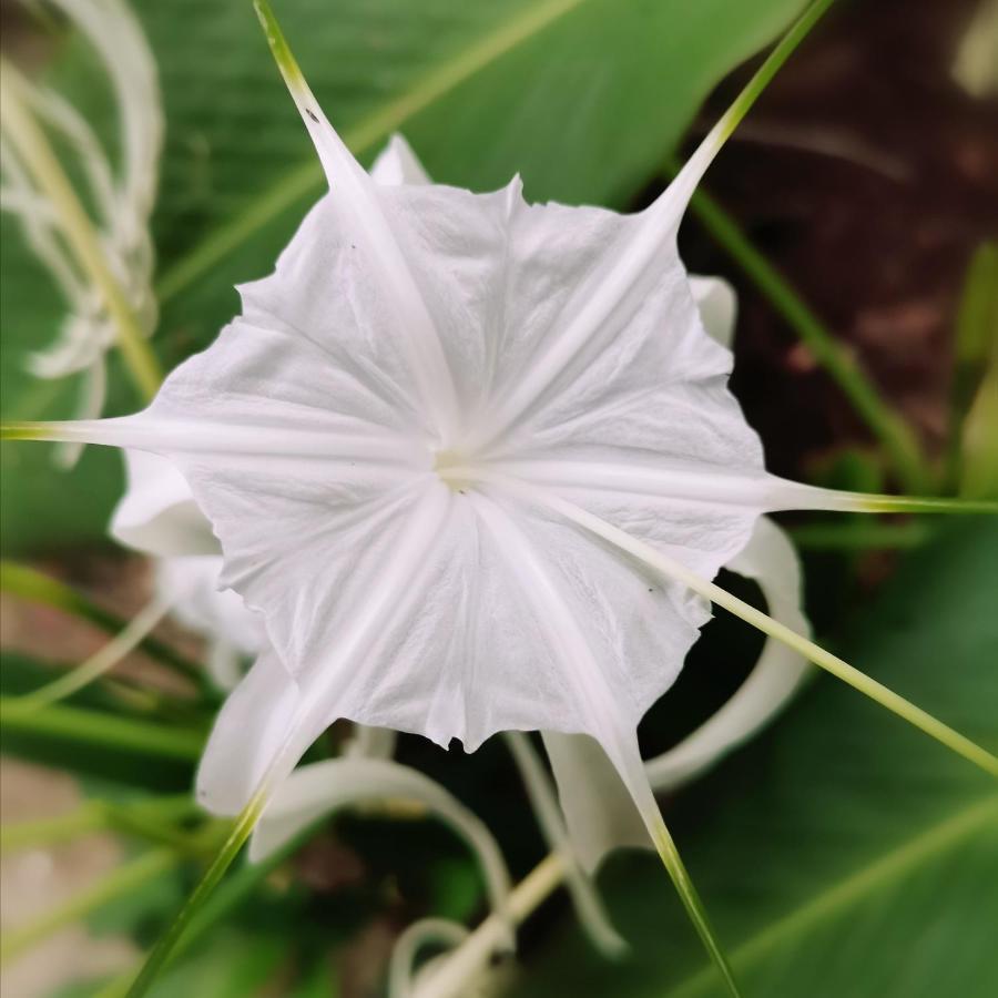 Puerto Viejo de Talamanca Oasis 호스텔 외부 사진