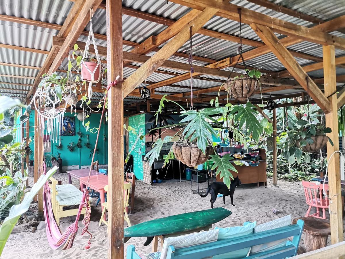 Puerto Viejo de Talamanca Oasis 호스텔 외부 사진