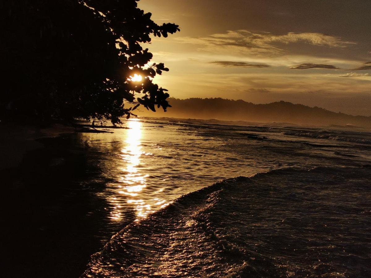 Puerto Viejo de Talamanca Oasis 호스텔 외부 사진