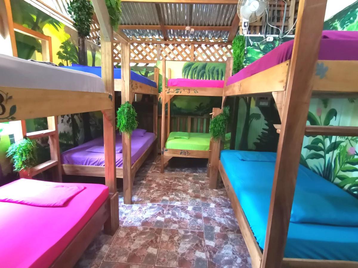 Puerto Viejo de Talamanca Oasis 호스텔 외부 사진