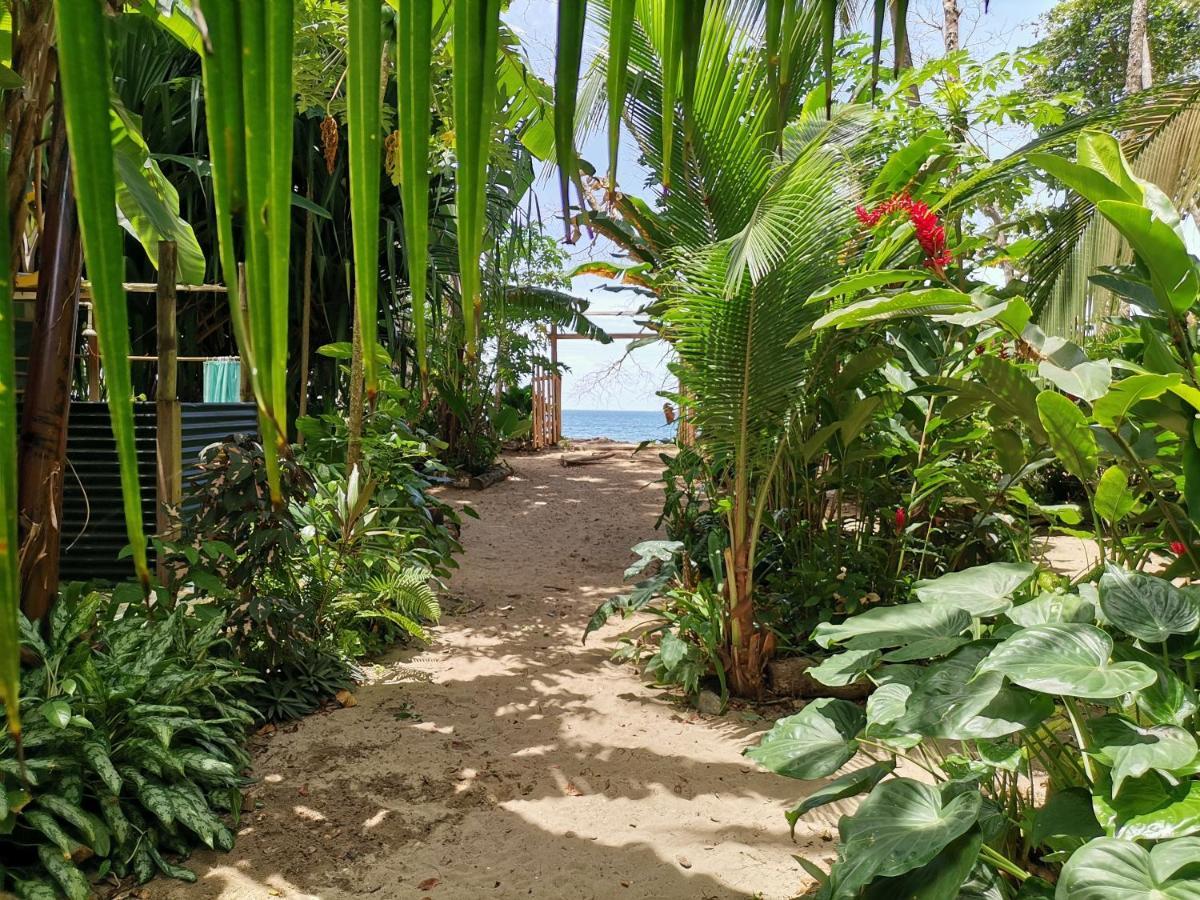 Puerto Viejo de Talamanca Oasis 호스텔 외부 사진