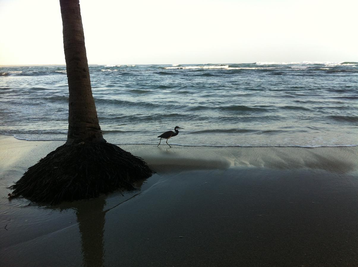 Puerto Viejo de Talamanca Oasis 호스텔 외부 사진