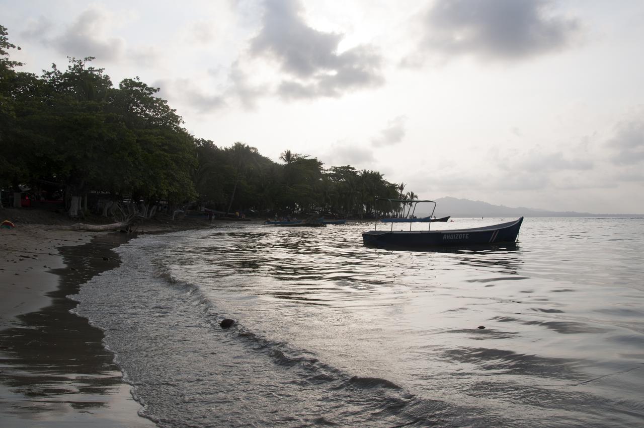 Puerto Viejo de Talamanca Oasis 호스텔 외부 사진