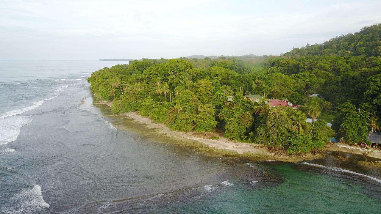 Puerto Viejo de Talamanca Oasis 호스텔 외부 사진