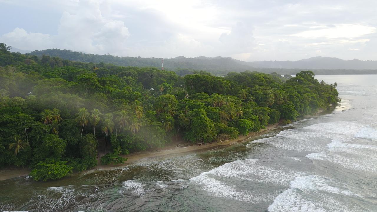 Puerto Viejo de Talamanca Oasis 호스텔 외부 사진