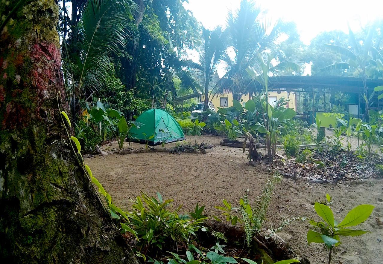 Puerto Viejo de Talamanca Oasis 호스텔 외부 사진