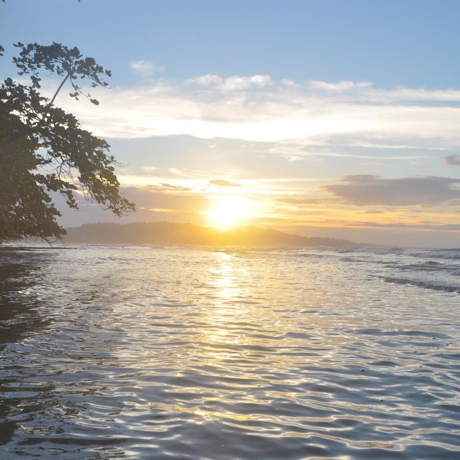 Puerto Viejo de Talamanca Oasis 호스텔 외부 사진