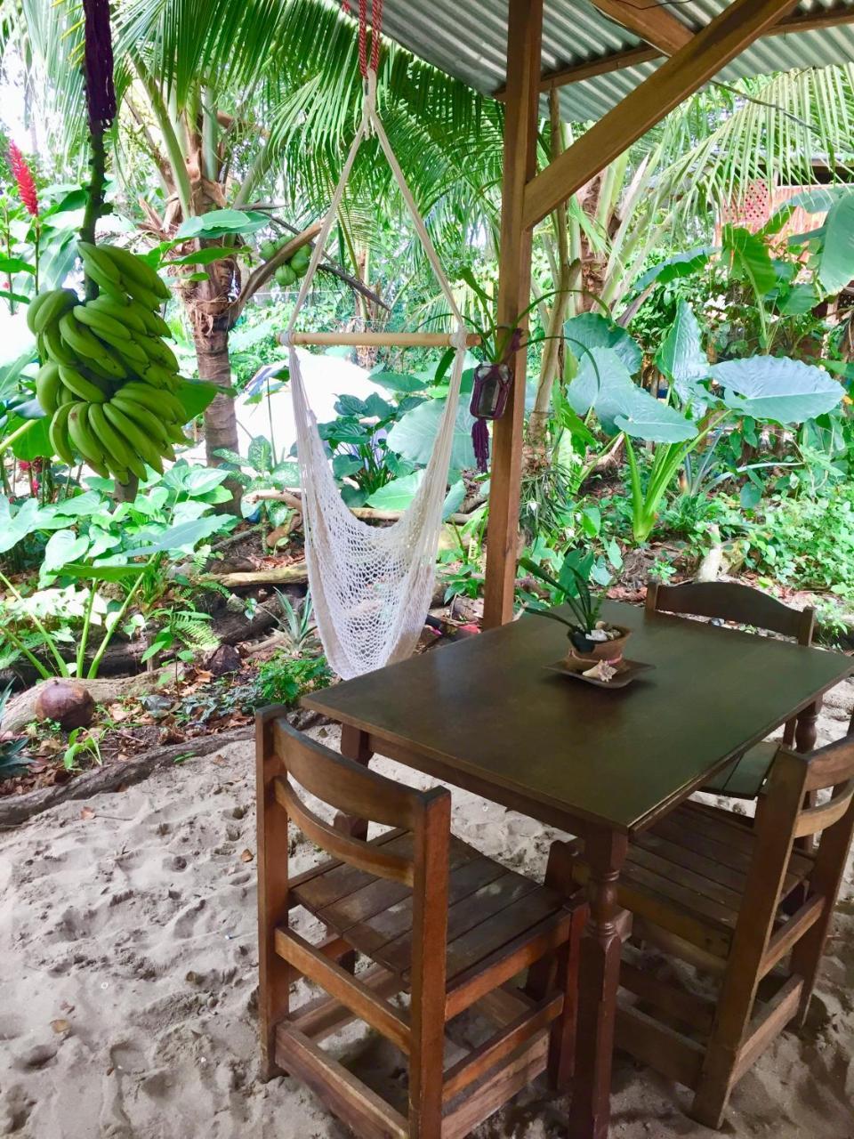 Puerto Viejo de Talamanca Oasis 호스텔 외부 사진