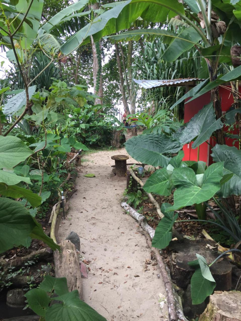 Puerto Viejo de Talamanca Oasis 호스텔 외부 사진