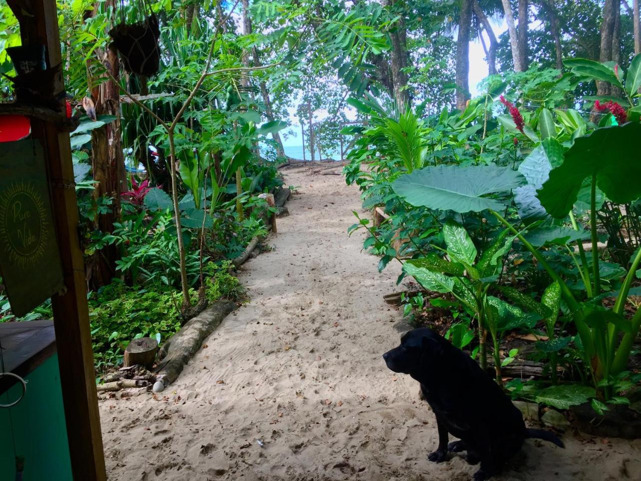 Puerto Viejo de Talamanca Oasis 호스텔 외부 사진