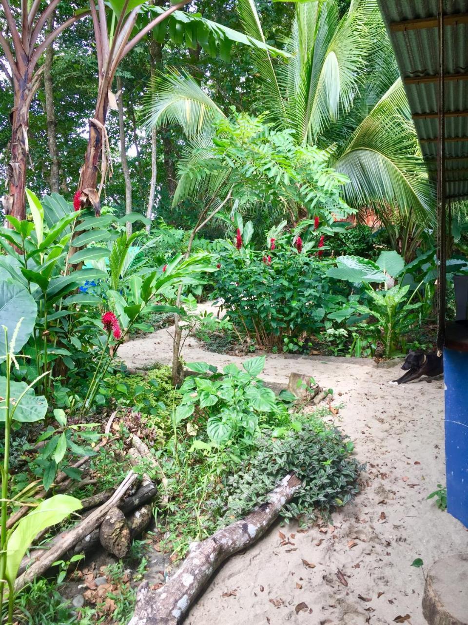 Puerto Viejo de Talamanca Oasis 호스텔 외부 사진