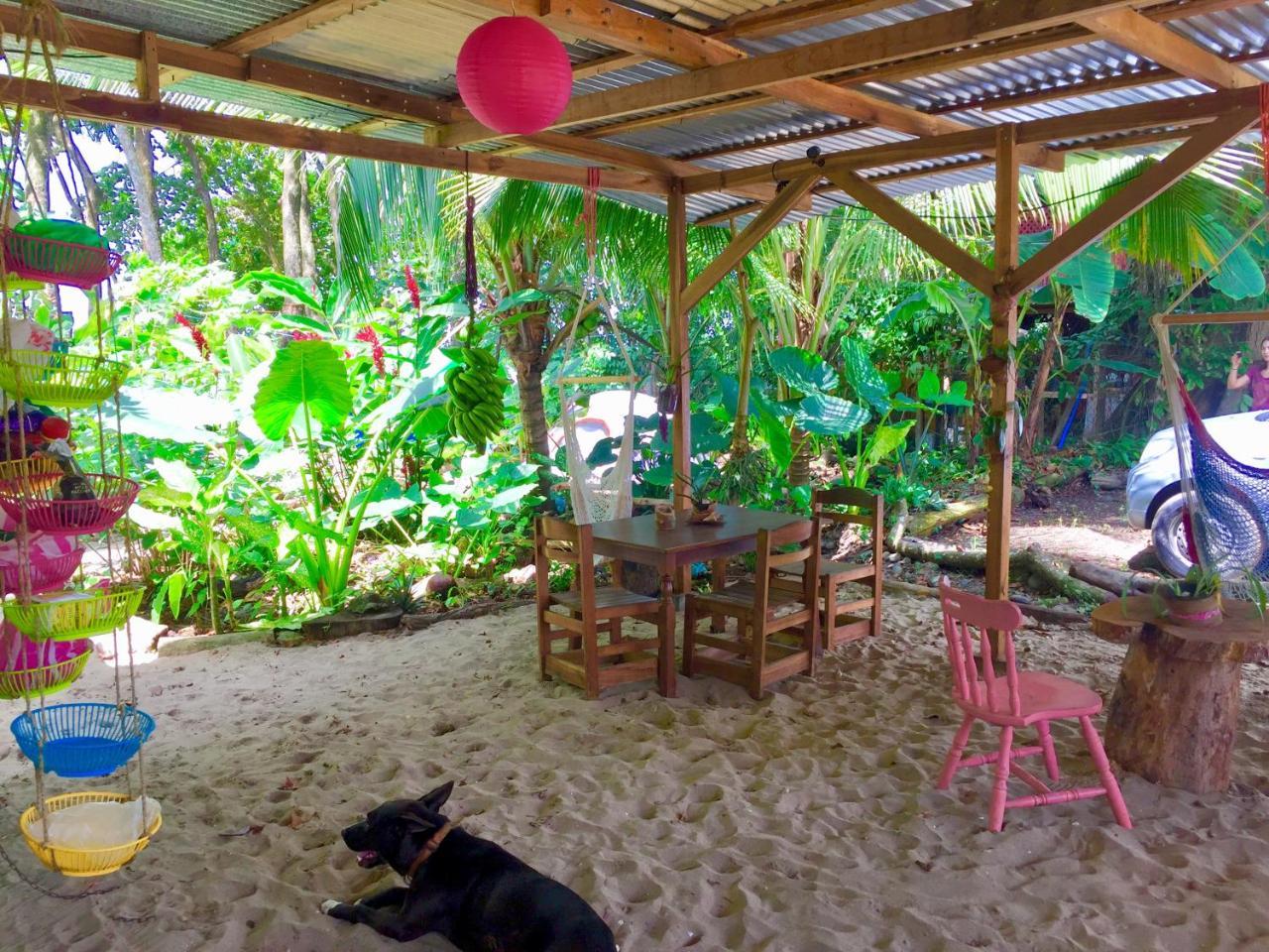 Puerto Viejo de Talamanca Oasis 호스텔 외부 사진