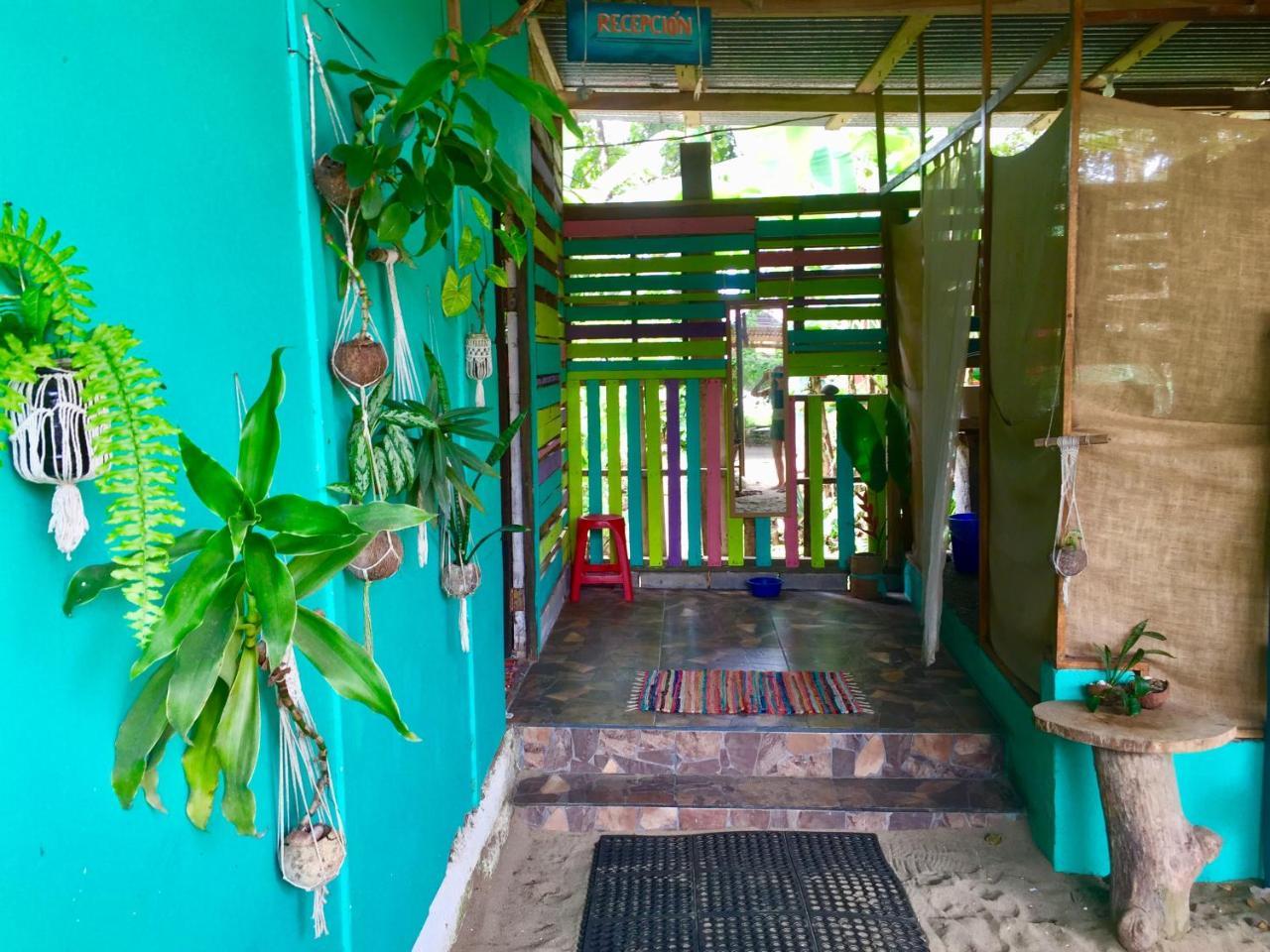 Puerto Viejo de Talamanca Oasis 호스텔 외부 사진