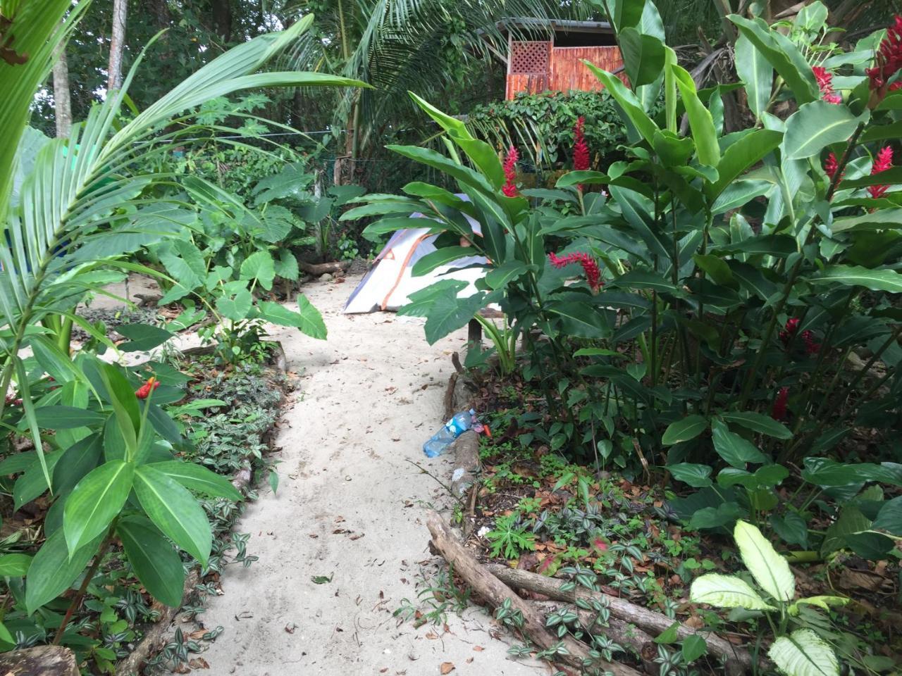 Puerto Viejo de Talamanca Oasis 호스텔 외부 사진