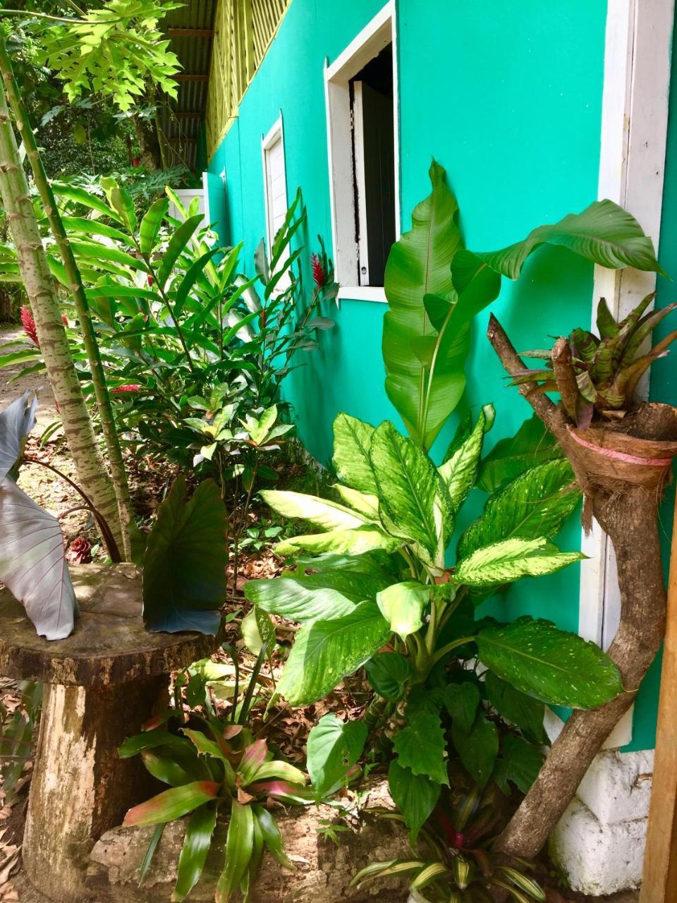 Puerto Viejo de Talamanca Oasis 호스텔 외부 사진